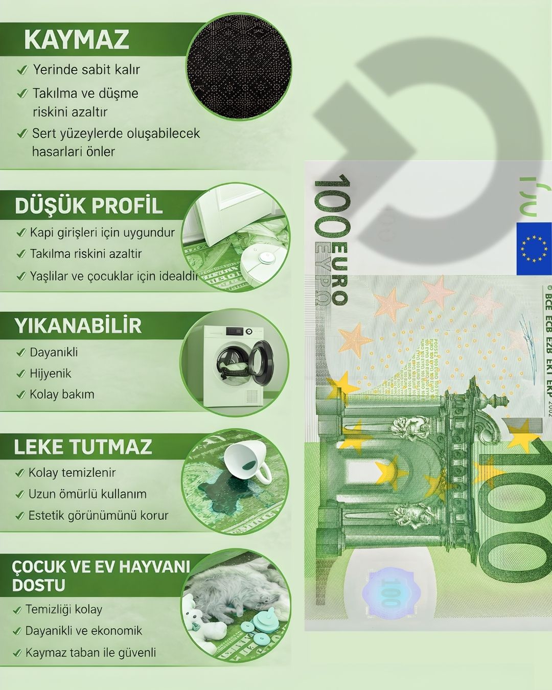 100 Euro X Özel Tasarım Kaymaz Taban Halı
